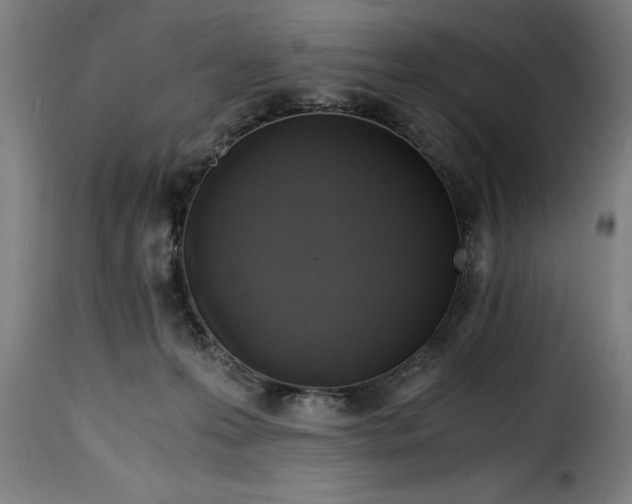 X0000115480223200911201847