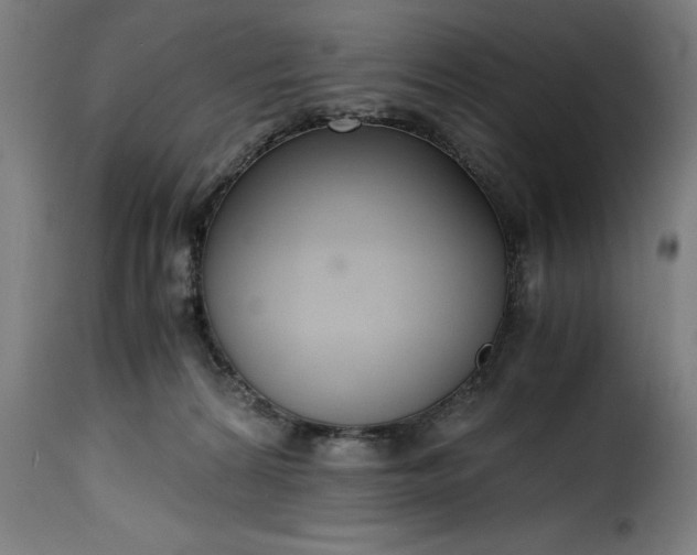 X0000115480224200911201847