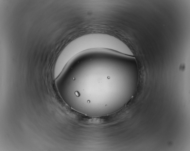 X0000115480225200911201847