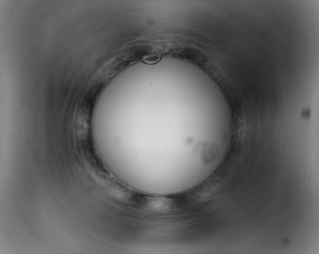 X0000115480226200911201847