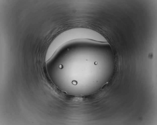 X0000115480227200911201847