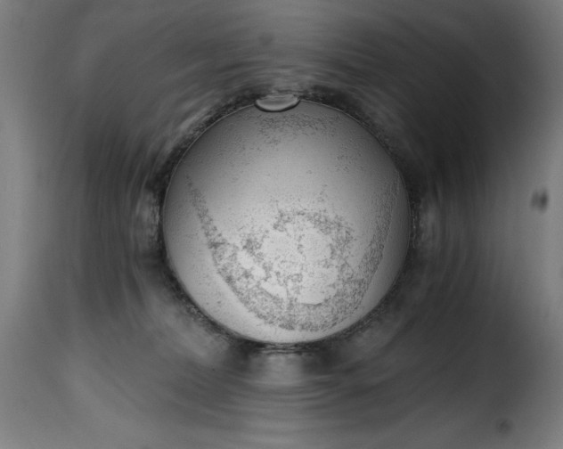 X0000115480228200911201847