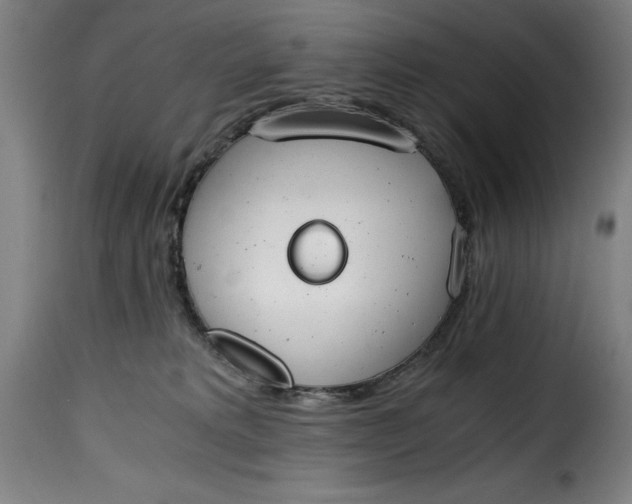 X0000115480229200911201847