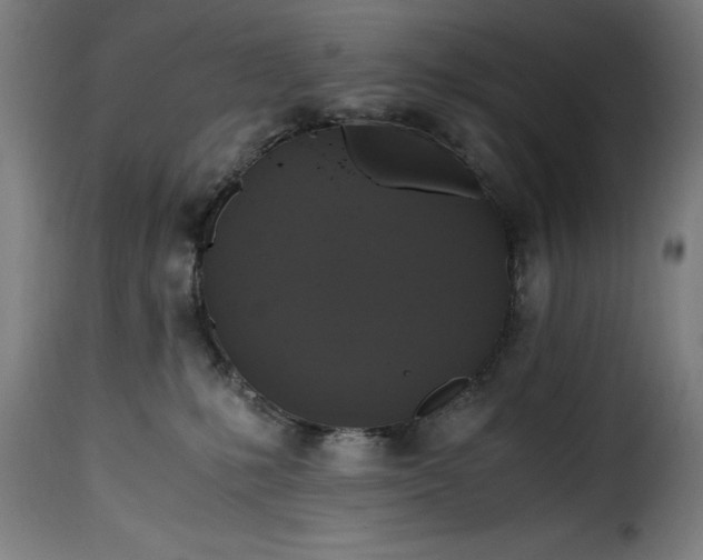 X0000115480231200911201847