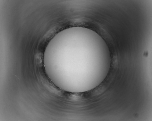 X0000115480232200911201847