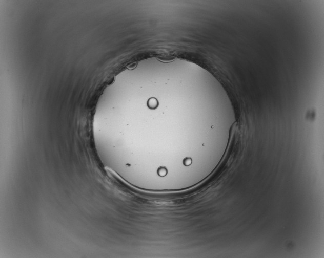 X0000115480233200911201847