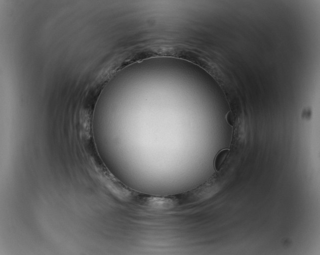 X0000115480234200911201847