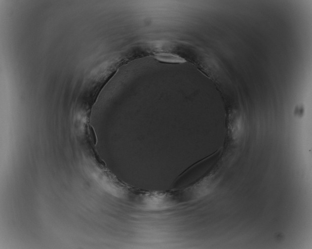 X0000115480235200911201847