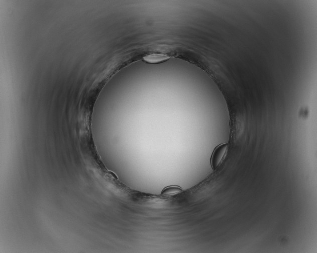 X0000115480236200911201847