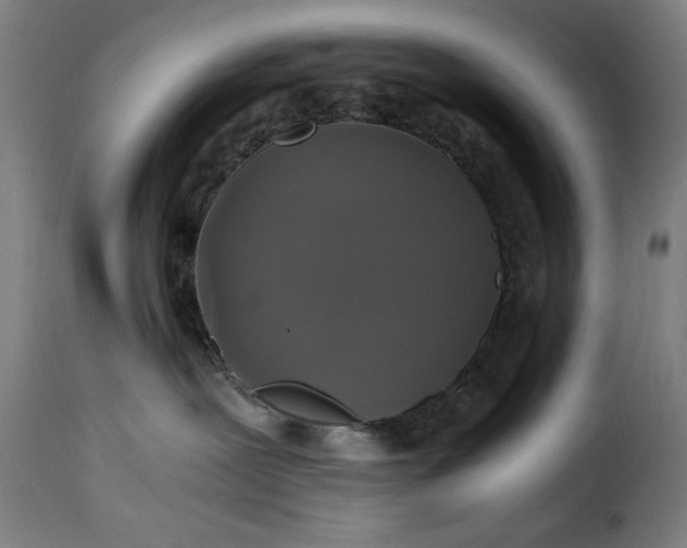 X0000115480239200911201847