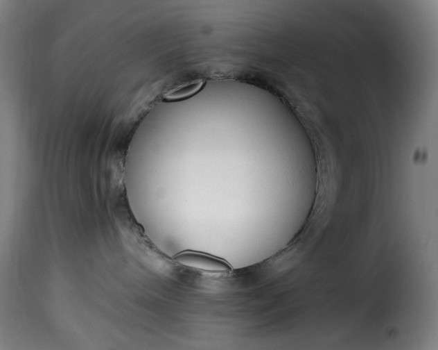 X0000115480240200911201847