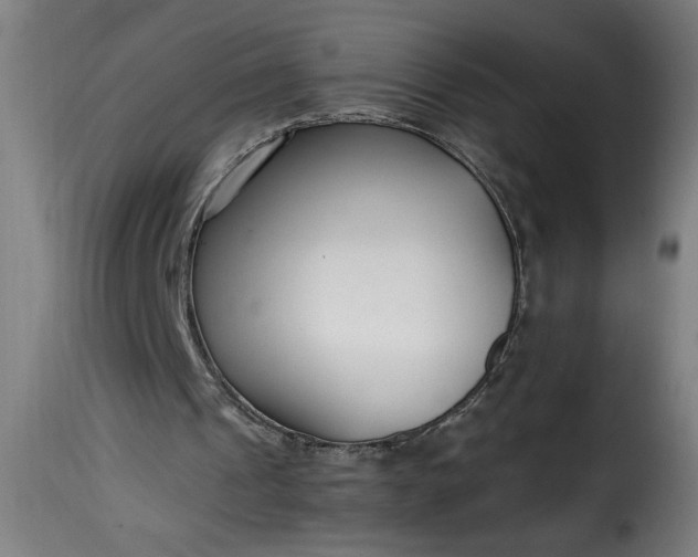 X0000115480241200911201846