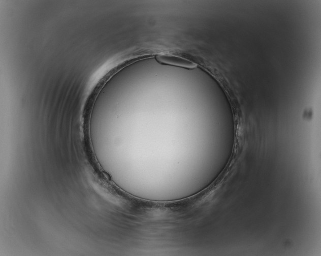 X0000115480246200911201846