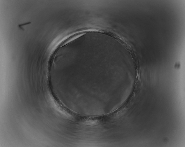 X0000115480247200911201846