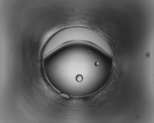 X0000115480248200911201846