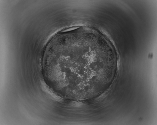 X0000115480249200911201846