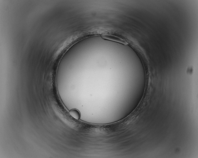 X0000115480250200911201846