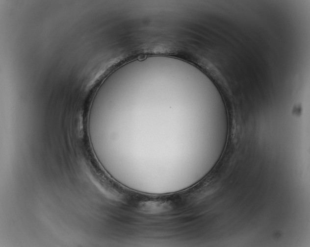 X0000115480251200911201846