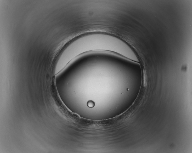 X0000115480252200911201846