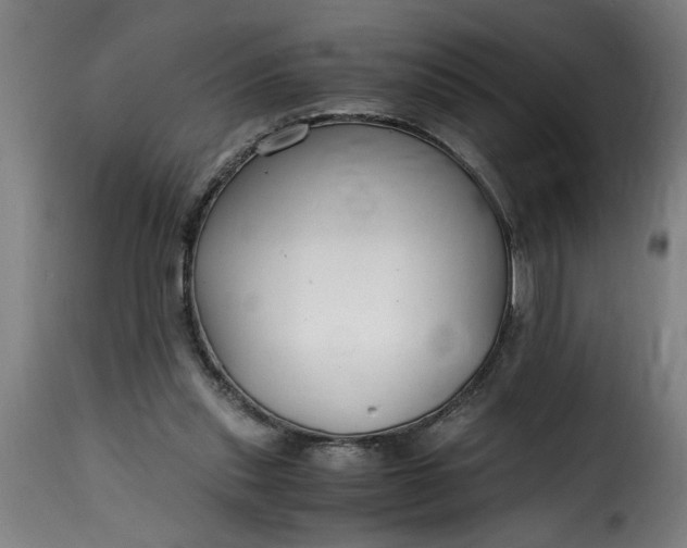 X0000115480253200911201846