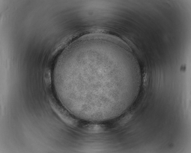 X0000115480254200911201846