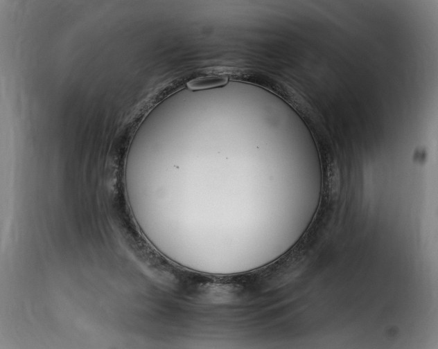 X0000115480255200911201846