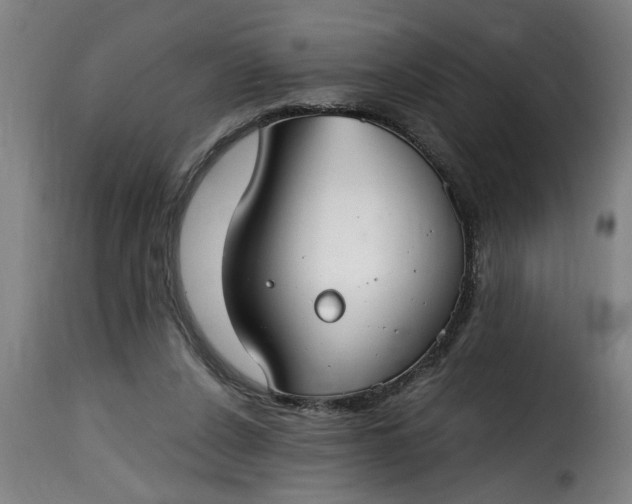 X0000115480256200911201846