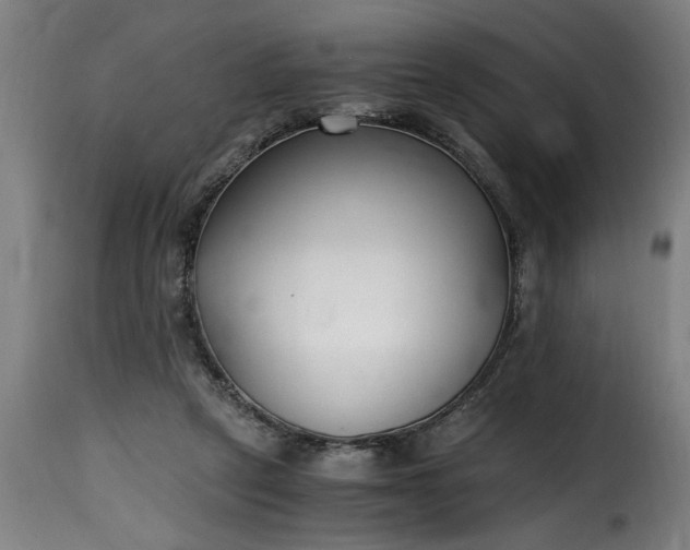 X0000115480257200911201846