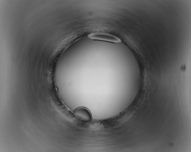 X0000115480258200911201846