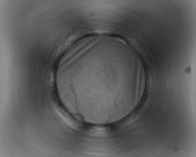 X0000115480260200911201846