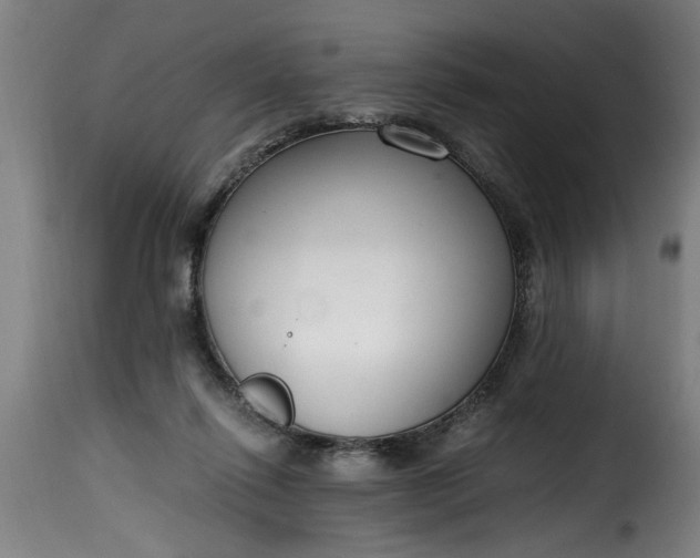 X0000115480262200911201846