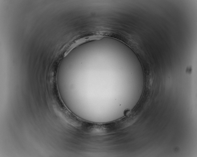 X0000115480263200911201847