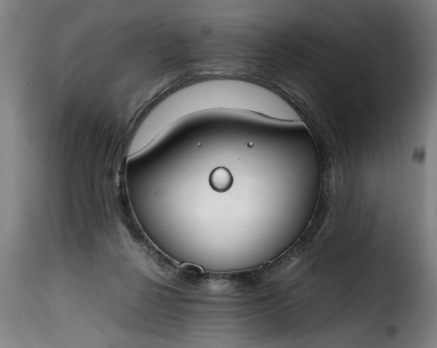 X0000115480264200911201847