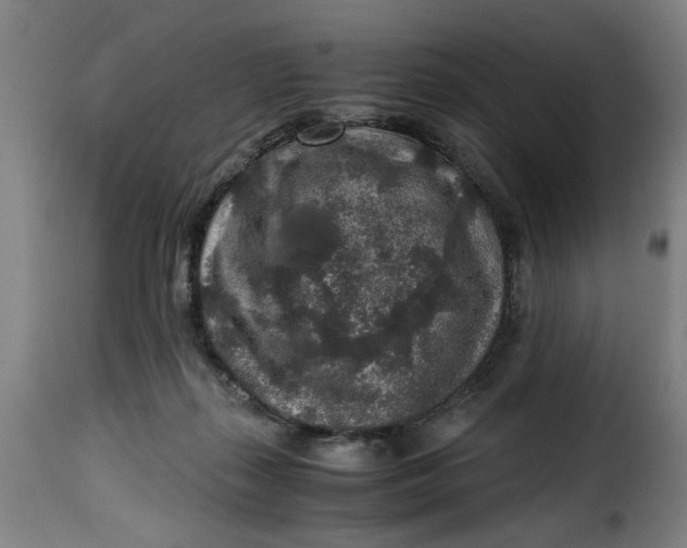 X0000115480267200911201847