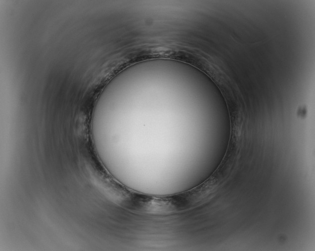 X0000115480270200911201847