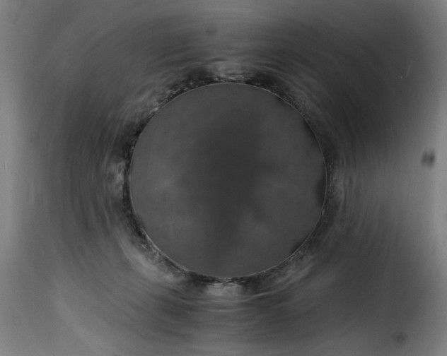 X0000115480271200911201847