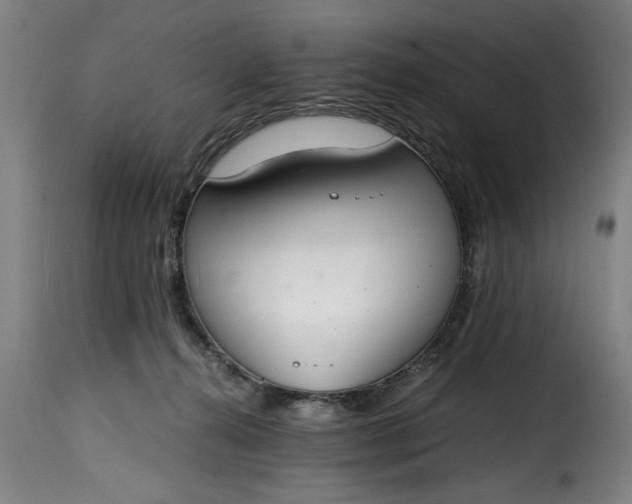 X0000115480272200911201847