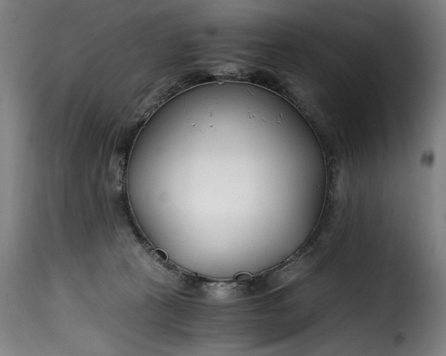 X0000115480273200911201847