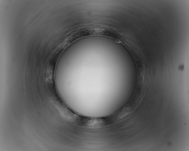 X0000115480274200911201847