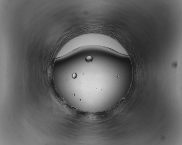 X0000115480276200911201847