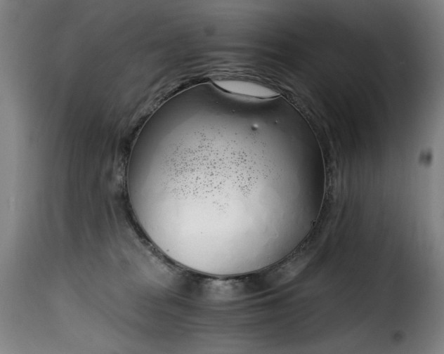 X0000115480277200911201847