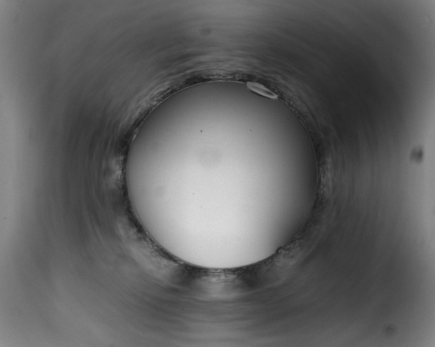 X0000115480278200911201847