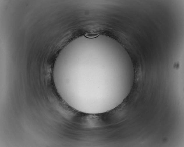 X0000115480279200911201847