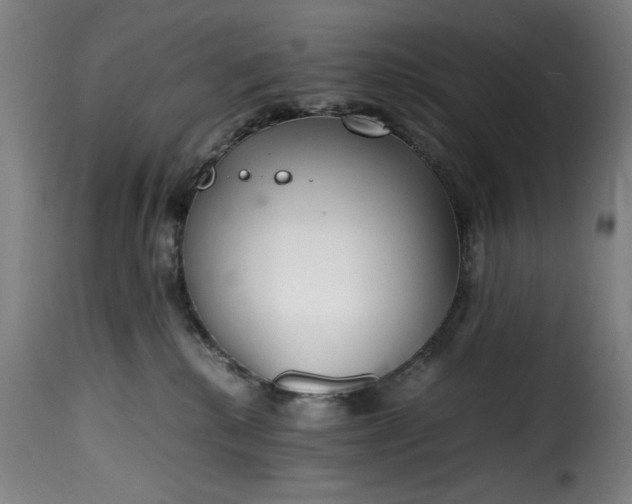 X0000115480280200911201847