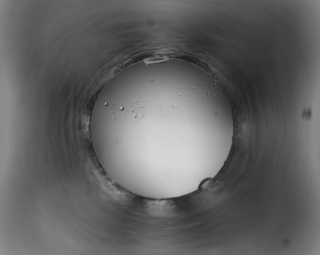 X0000115480281200911201847