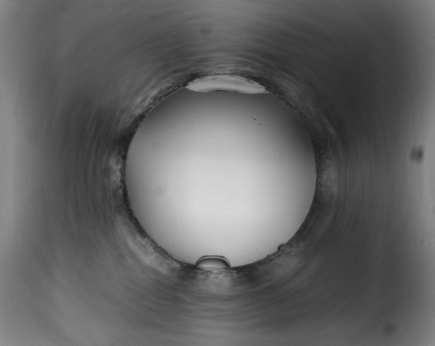 X0000115480282200911201847