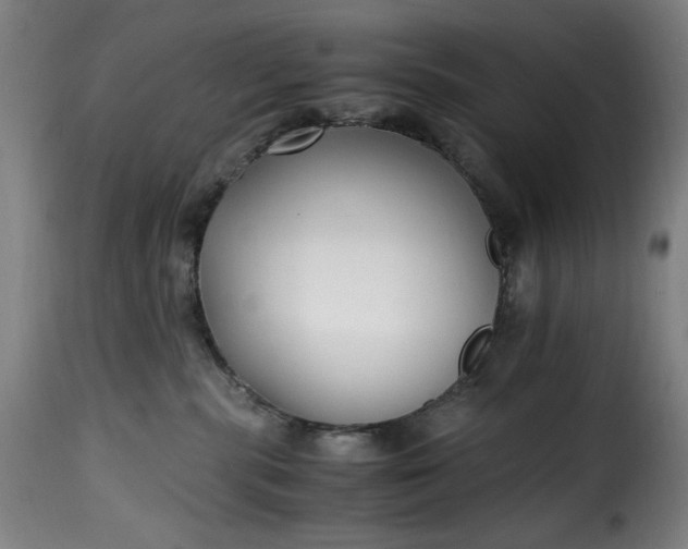 X0000115480283200911201847