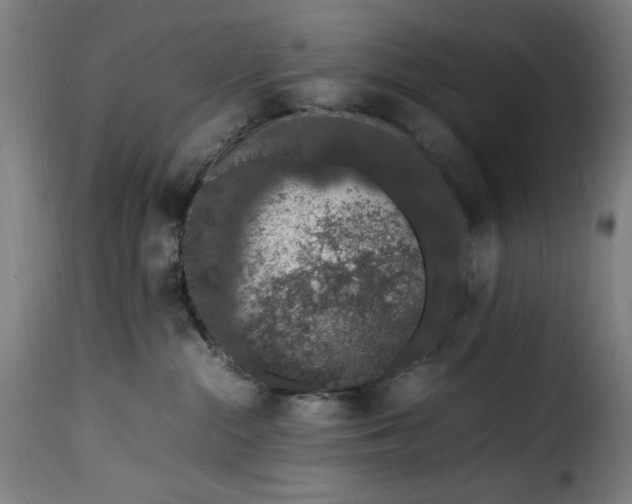 X0000115480284200911201847