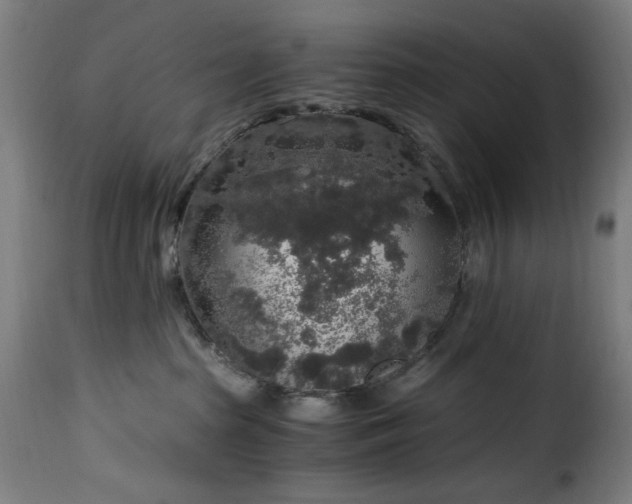 X0000115480285200911201847