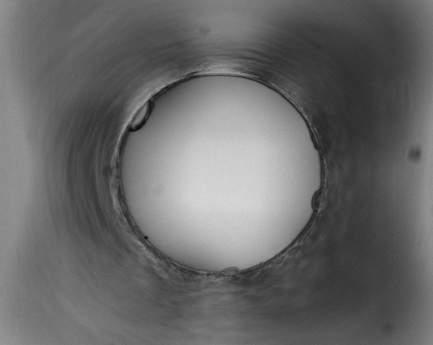 X0000115480289200911201846